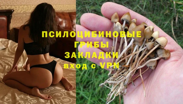 трава Беломорск