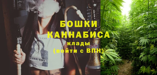 трава Беломорск