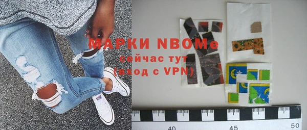 прущие грибы Белокуриха