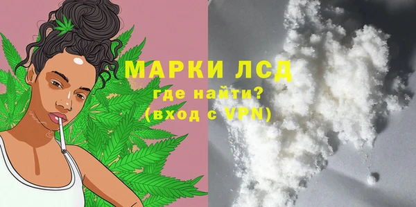 прущие грибы Белокуриха