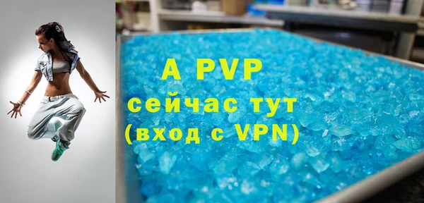 прущие грибы Белокуриха
