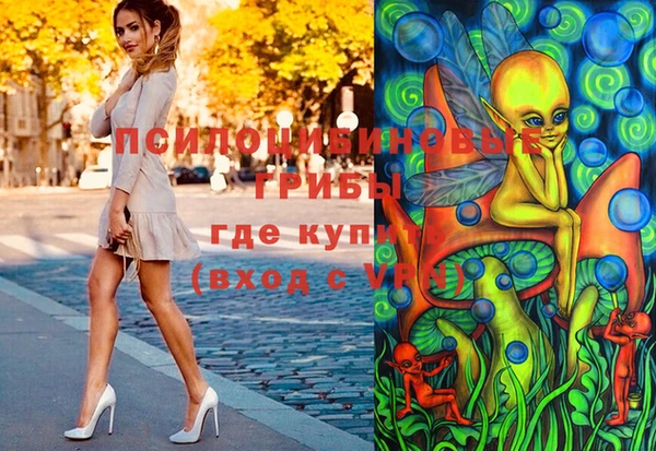 прущие грибы Белокуриха